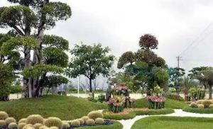 昆山綠化公司解析園林綠化工程是什么？