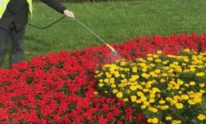 昆山工廠(chǎng)綠化養(yǎng)護(hù)淺談工廠(chǎng)綠化的特殊意義！