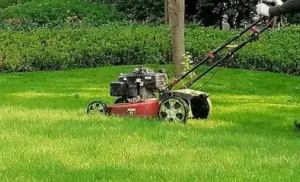 昆山綠化公司淺談園林綠化養(yǎng)護(hù)的重要性！